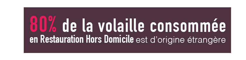 chiffre-volaille-francaise