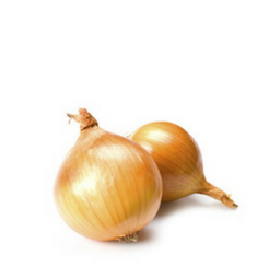 tarte-aux-oignons-ingredients