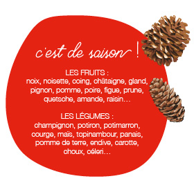 fruits-legumes-saison-automne