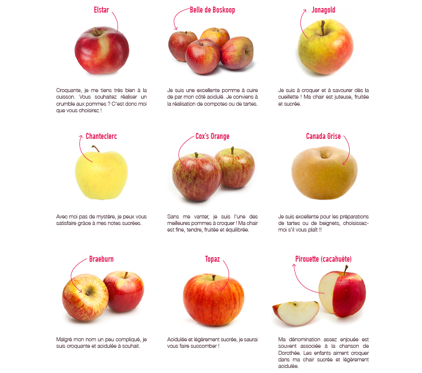 varietes-de-pommes